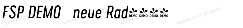 FSP DEMO   neue Rad字体转换